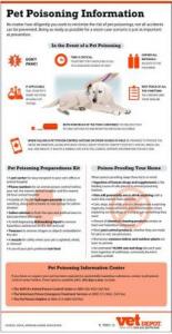Prevent Poison to Pets Infographic
